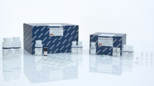 图片 凯杰试剂盒QIAamp DNA Mini Kit (250）